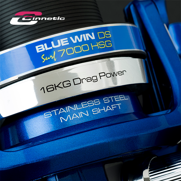 Bluewin_DS_Surf_7000_HSG_2