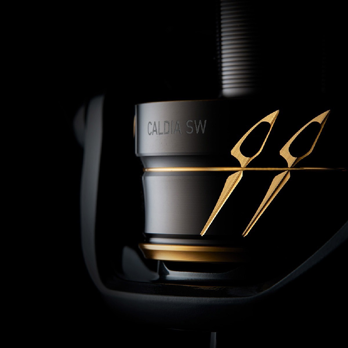 Daiwa Caldia Spin – Canna Da Pesca Professionale 2,70 M, 30-70 G, 2 Pezzi, Veloce E Leggera