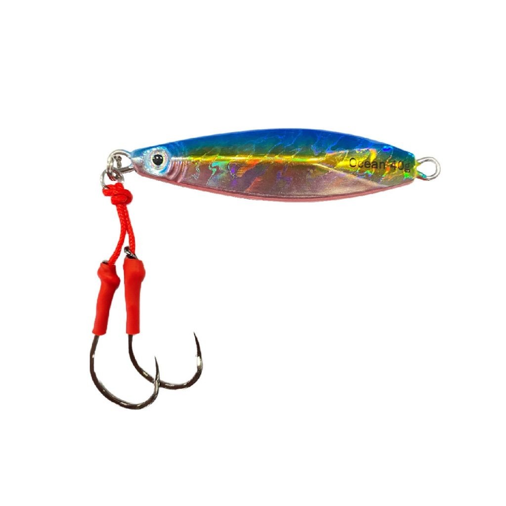 Leurre Métal Jackall Seabass Anchovy 80g - Meimetsu Chart - Pêche Mer