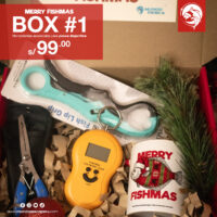 box-navidad-2025-01