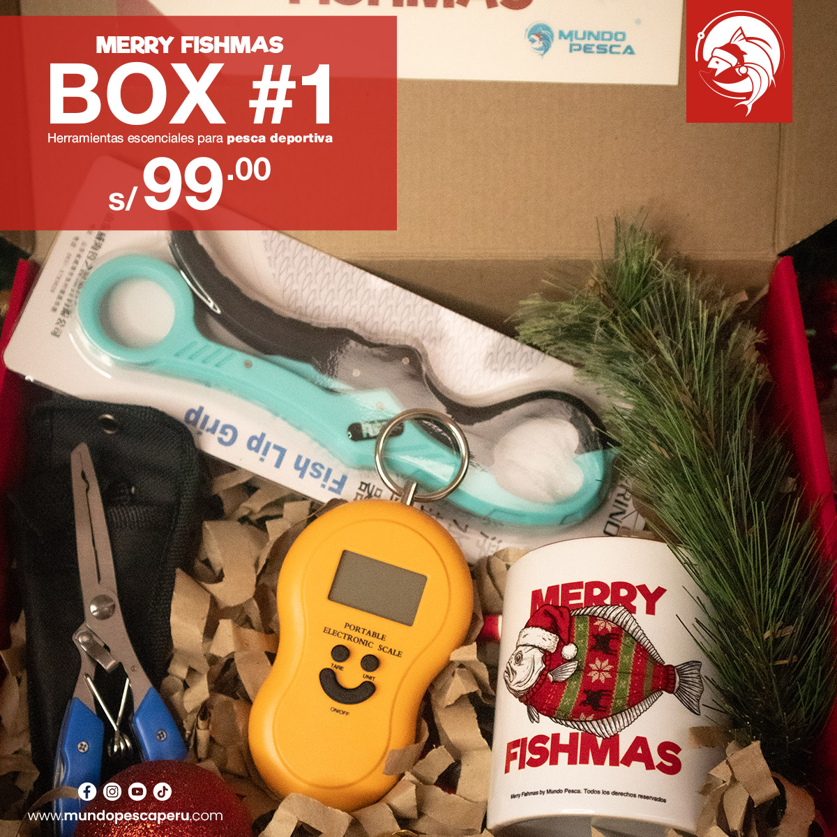 box-navidad-2025-01