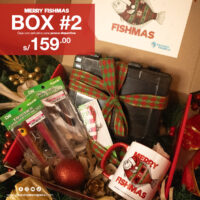box-navidad-2025-02