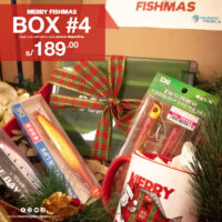 box-navidad-2025-04
