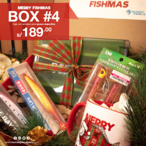 box-navidad-2025-04