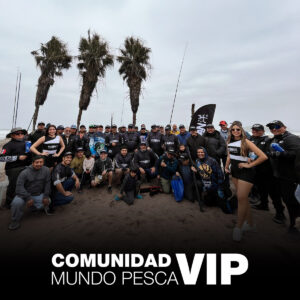 perfil-ocean-suscripcion