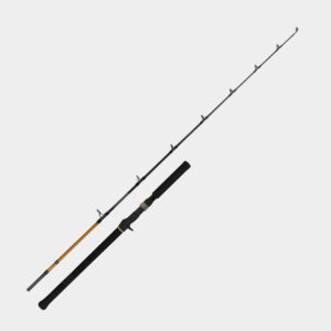 Caña Shimano 18 Beastmaster Jigging B604