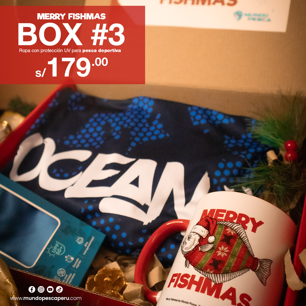 box-navidad-2025-03 box-navidad-2025-03