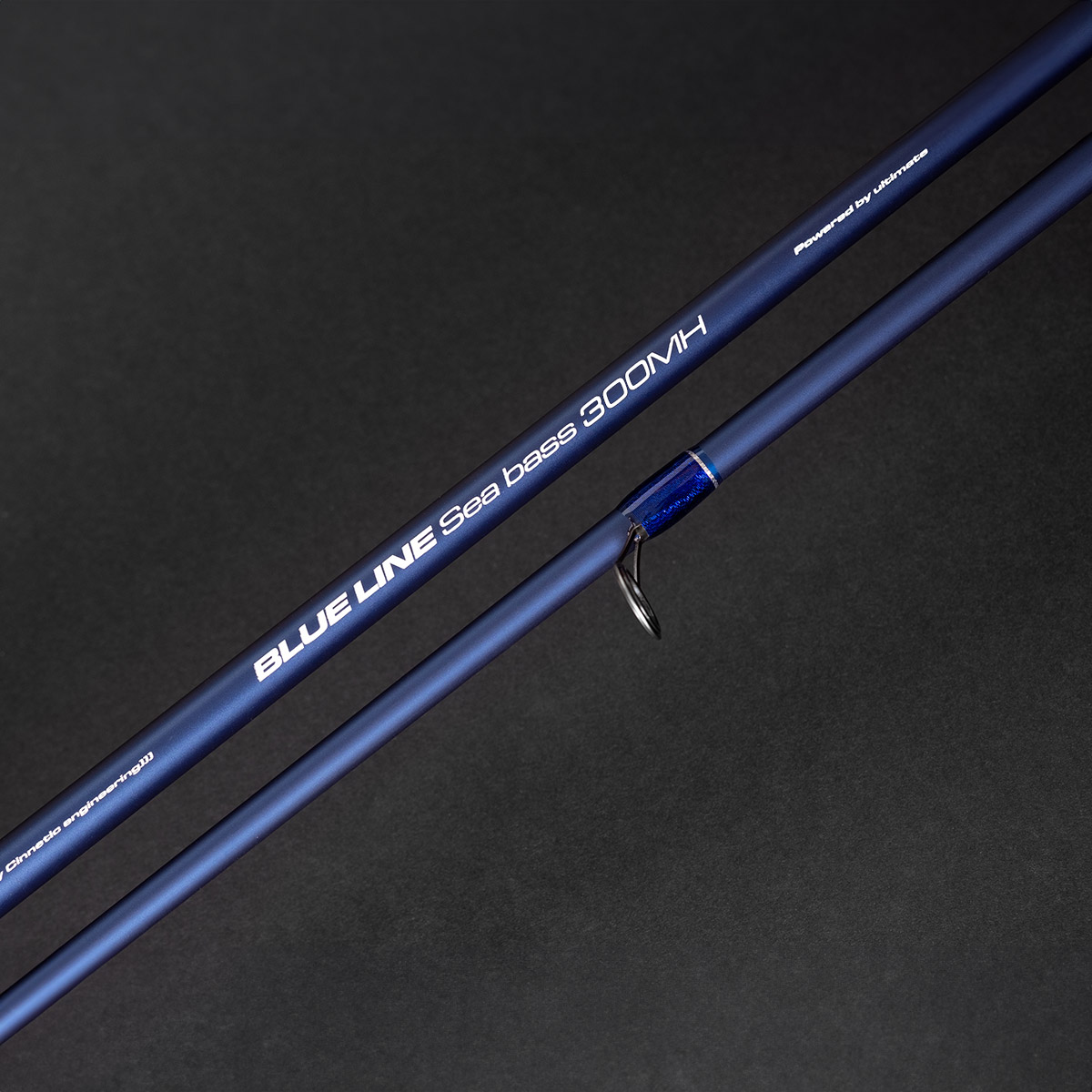 cinnetic-blue-line-sea-bass-300-detalle cinnetic-blue-line-sea-bass-300-detalle