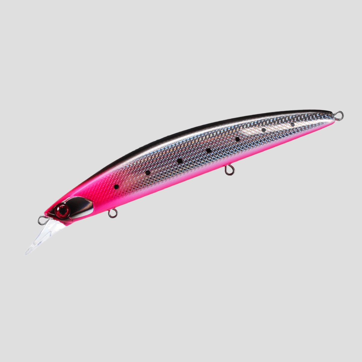 ocean-hirame-bay-120-s-anchovy-red-belly-a ocean-hirame-bay-120-s-anchovy-red-belly-a