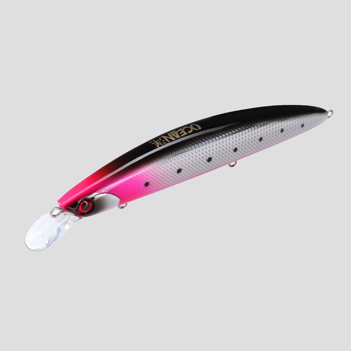 ocean-hirame-bay-120-s-anchovy-red-belly-b ocean-hirame-bay-120-s-anchovy-red-belly-b