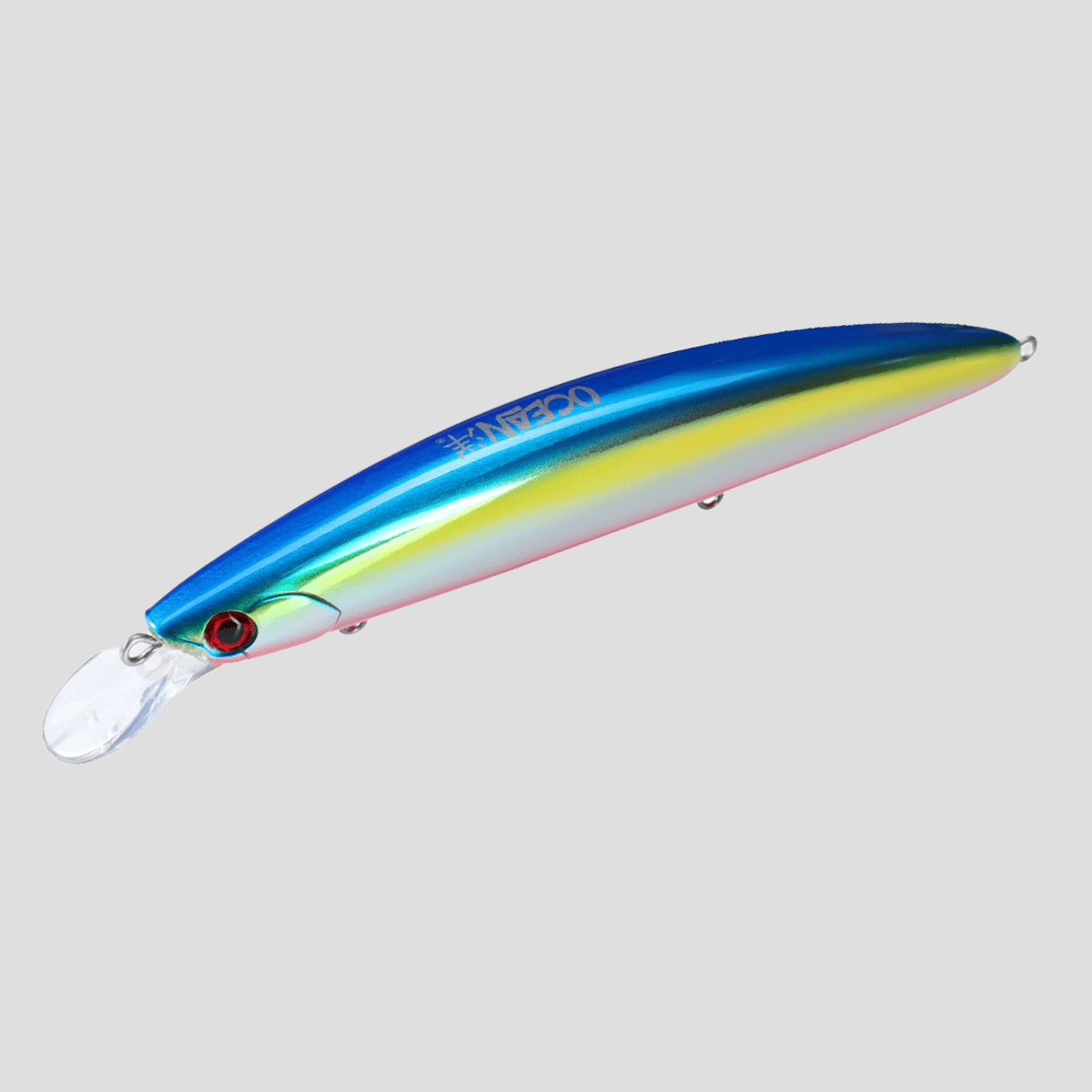 ocean-hirame-bay-120-s-okinawa-anchovy-a ocean-hirame-bay-120-s-okinawa-anchovy-a