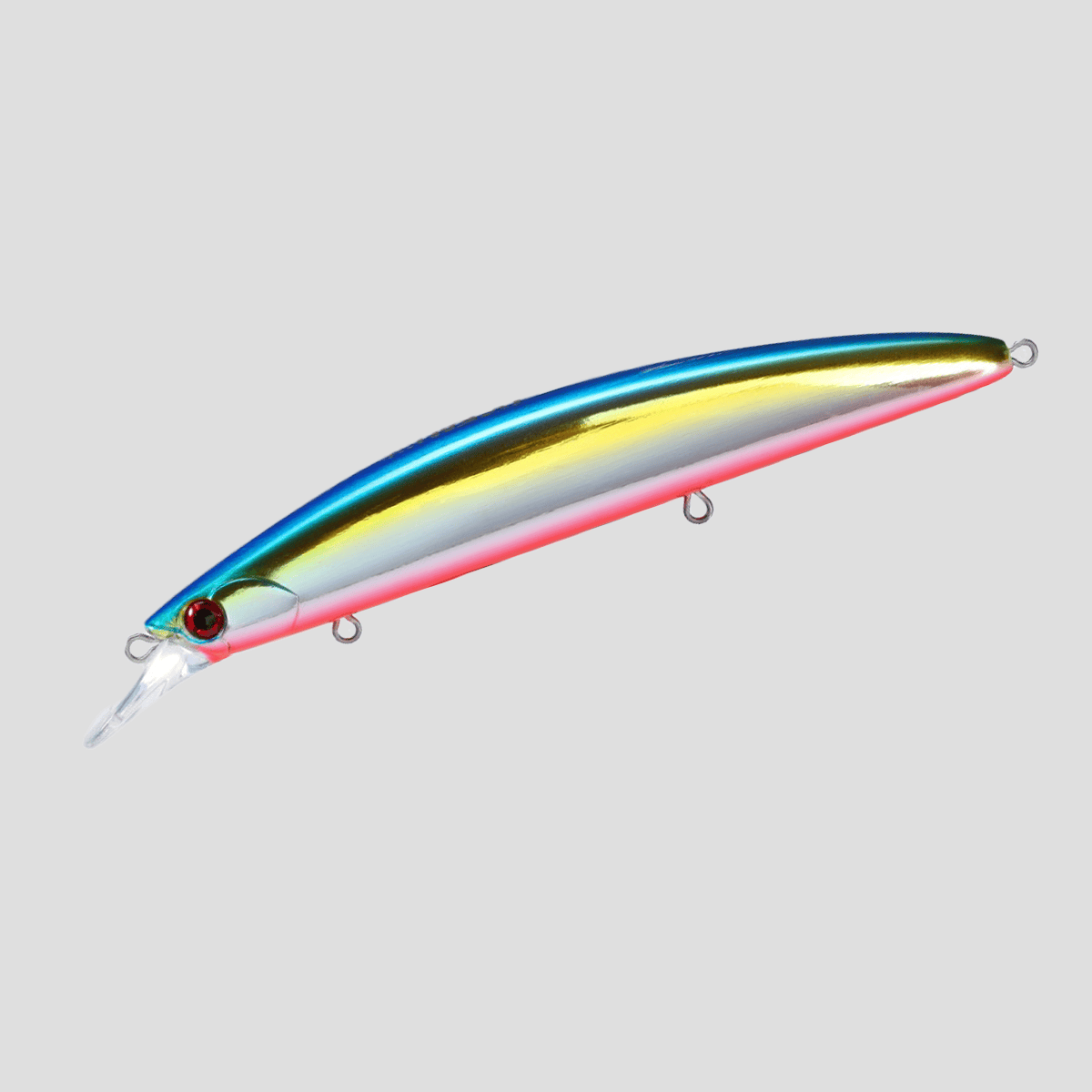 ocean-hirame-bay-120-s-okinawa-anchovy-b ocean-hirame-bay-120-s-okinawa-anchovy-b