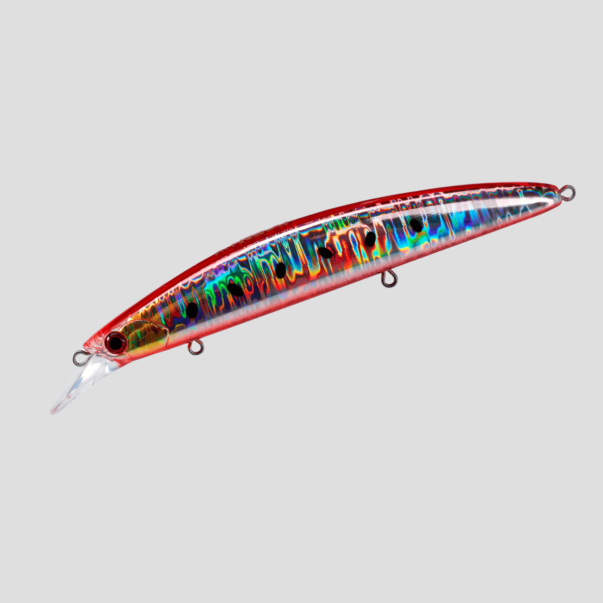 ocean-hirame-bay-120-s-red-burning-sardine-b ocean-hirame-bay-120-s-red-burning-sardine-b
