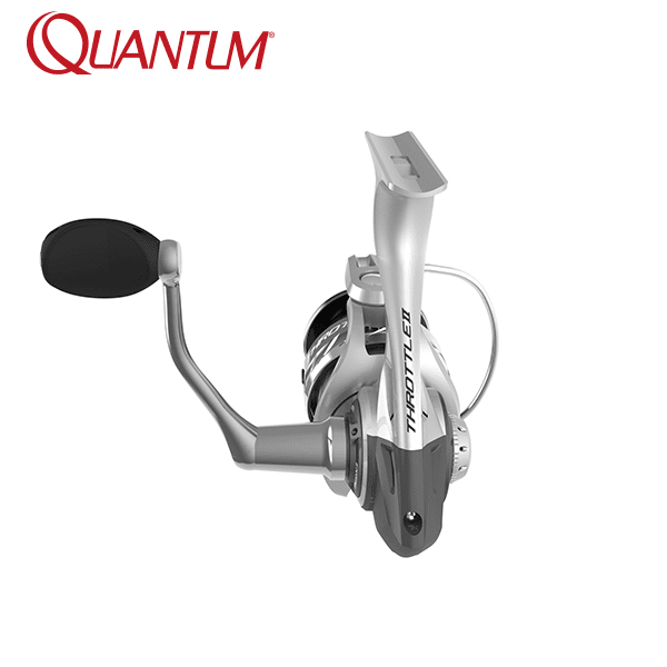 quantum-throttle-II(3) quantum-throttle-II(3)